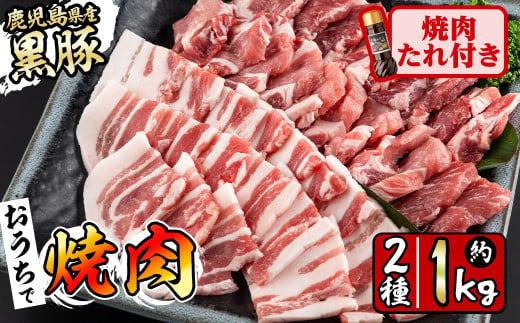 鹿児島県産黒豚焼肉2種＆焼肉のたれセット計1kg(カタロース約500g・バラ約500g・たれ210g) BBQ 焼肉 黒豚 肉 豚肉 ロース カタロース バラ 豚バラ 小分け 詰め合わせ 国産 a4-035 1418439 - 鹿児島県志布志市