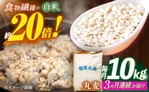 【全3回定期便】 長崎県産 丸麦 10kg / 麦 むぎ 雑穀 雑穀米 麦ごはん 麦飯 麦みそ 食物繊維 / 諫早市 / 有限会社伊東精麦 [AHBU006] 1418113 - 長崎県諫早市