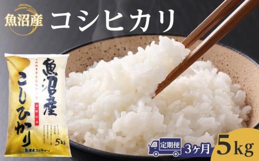 【3ヶ月定期便】魚沼産コシヒカリ　5kg 　2024年10月～発送開始｜新潟県　魚沼　こしひかり　令和6年産 892300 - 新潟県新潟県庁