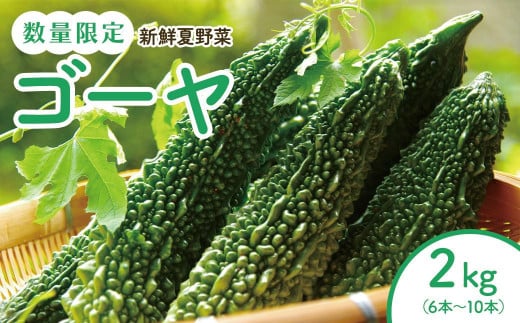 結いの街　新鮮夏野菜野菜！ゴーヤ 1418373 - 鹿児島県大崎町