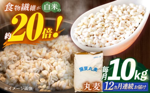 【全12回定期便】 長崎県産 丸麦 10kg / 麦 むぎ 雑穀 雑穀米 麦ごはん 麦飯 麦みそ 食物繊維 / 諫早市 / 有限会社伊東精麦 [AHBU008] 1418115 - 長崎県諫早市