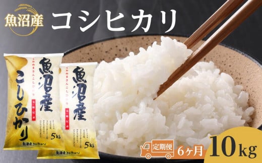 【6ヶ月定期便】魚沼産コシヒカリ　10kg　2024年10月～発送開始｜新潟県　魚沼　こしひかり　令和6年産 892305 - 新潟県新潟県庁