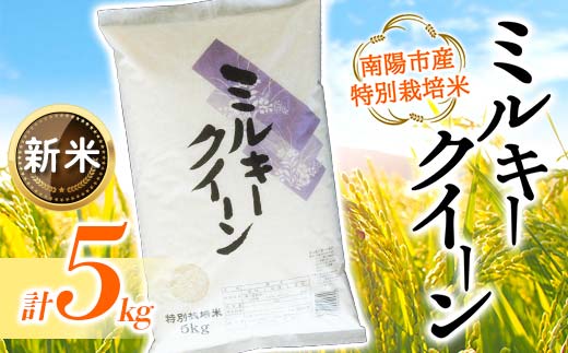 【令和7年産 新米 先行予約】 【金賞受賞農家】 特別栽培米 ミルキークイーン 5kg 《令和7年10月上旬～発送》 『あおきライスファーム』 山形南陽産 米 白米 精米 ご飯 農家直送 山形県 南陽市 [1549-R7b] 2017809 - 山形県南陽市