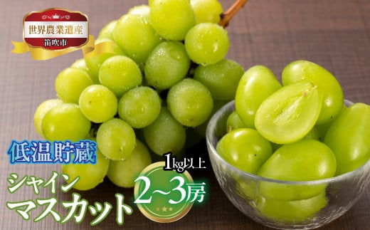 山梨県笛吹市産　低温貯蔵シャインマスカット　1kg以上　2房から3房 223-009 1419078 - 山梨県笛吹市