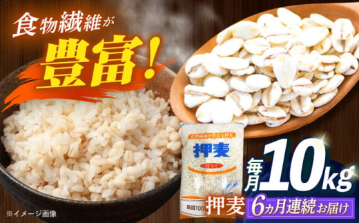 【全6回定期便】 押麦「長崎100年麦 御島裸」1kg×10袋 計10kg / 麦 むぎ 押麦 はだか麦 麦味噌 雑穀 雑穀米 食物繊維 小分け / 諫早市 / 有限会社伊東精麦 [AHBU011] 1418118 - 長崎県諫早市