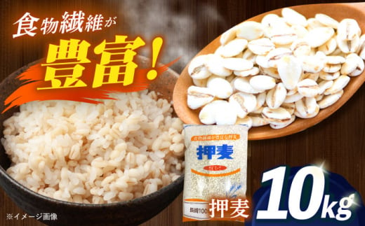 押麦「長崎100年麦 御島裸」1kg×10袋 計10kg / 麦 むぎ 押麦 はだか麦 麦味噌 雑穀 雑穀米 食物繊維 / 諫早市 / 有限会社伊東精麦 [AHBU009] 1418116 - 長崎県諫早市