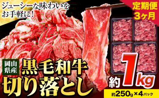 牛肉[3ヶ月定期便] 肉 黒毛和牛 切り落とし 訳あり 大容量 小分け 1kg 1パック 250g 定期便[お申込み月翌月から出荷開始]岡山県産 岡山県 笠岡市 お肉 にく カレー 牛丼 切り落し 切落し