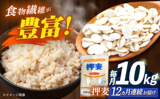 【全12回定期便】 押麦「長崎100年麦 御島裸」1kg×10袋 計10kg / 麦 むぎ 押麦 はだか麦 麦味噌 雑穀 雑穀米 食物繊維 小分け / 諫早市 / 有限会社伊東精麦 [AHBU012] 1418119 - 長崎県諫早市