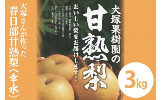 埼玉県春日部市のふるさと納税 お礼の品ランキング【ふるさとチョイス】