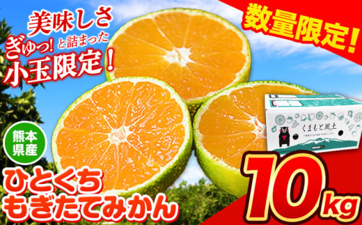 訳あり みかん ひとくちもぎたてみかん 約10kg (10kg×1箱) S-3Sサイズ 訳あり S SS 3S ご家庭用 10kg 熊本県産 （荒尾市産含む） 小玉みかん 訳ありみかん ご家庭用みかん フルーツみかん 熊本みかん ちょっと訳あり 期間限定 フルーツ 秋 旬 柑橘 小玉 みかん 温州みかん《9月中旬-10月下旬頃出荷》 1418516 - 熊本県荒尾市