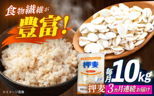 【全3回定期便】 押麦「長崎100年麦 御島裸」1kg×10袋 計10kg / 麦 むぎ 押麦 はだか麦 麦味噌 雑穀 雑穀米 食物繊維 小分け / 諫早市 / 有限会社伊東精麦 [AHBU010] 1418117 - 長崎県諫早市