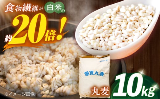 長崎県産 丸麦 10kg / 麦 むぎ 雑穀 雑穀米 麦ごはん 麦飯 麦みそ 食物繊維 / 諫早市 / 有限会社伊東精麦 [AHBU005] 1418112 - 長崎県諫早市