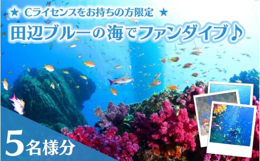 【和歌山 田辺・ファンダイブ／2ボート】大阪から2時間で叶う！田辺ブルーの海♪　5名様 ★Cライセンスお持ちの方限定★ / ダイビング スキューバダイビング ファンダイビング マリンスポーツ 体験 旅行 観光 レジャー アウトドア サンゴ 熱帯魚 水中 癒し 【tds001-5】 1432042 - 和歌山県田辺市