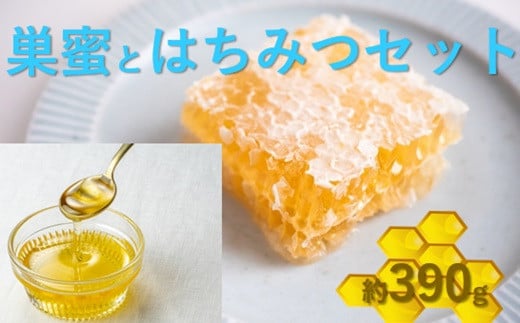 [セット]冨澤養蜂 KIIJYO HONEY 純粋はちみつ 巣蜜とはちみつセット