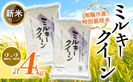 【令和6年産 新米 先行予約】 【金賞受賞農家】 特別栽培米 ミルキークイーン 計4kg (2kg×2袋) 《令和6年10月上旬～発送》 『あおきライスファーム』 山形南陽産 米 白米 精米 ご飯 農家直送 山形県 南陽市 [1591-RR6]