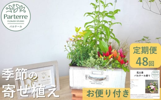 【定期便 / 毎月4回 計48回 お届け】季節の寄せ植え 定期便 1418471 - 岩手県北上市