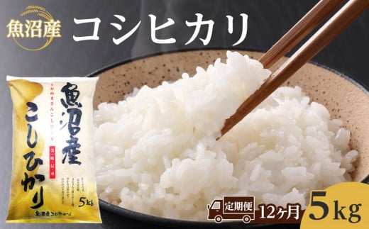 【12ヶ月定期便】魚沼産コシヒカリ　5kg　2024年10月～発送開始｜新潟県　魚沼　こしひかり　令和6年産 892302 - 新潟県新潟県庁