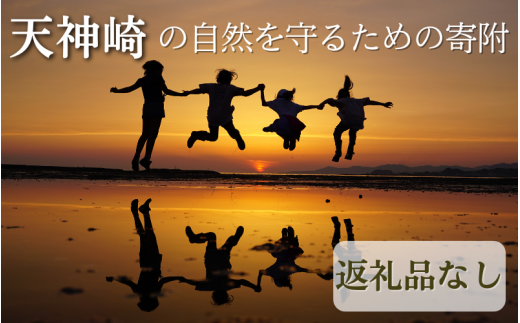 【返礼品なし】天神崎の自然を守るための寄附（寄附のみの受付となります）/ 田辺市 和歌山県 天神崎 自然 海 環境保護  1418096 - 和歌山県田辺市