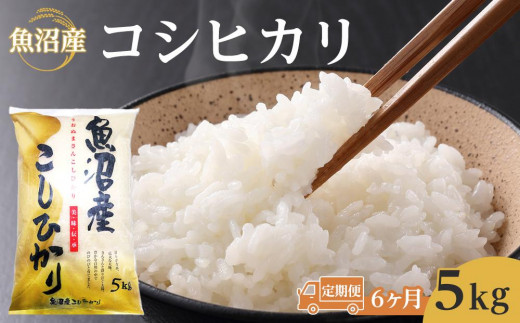 【6ヶ月定期便】魚沼産コシヒカリ　5kg　2024年10月～発送開始｜新潟県　魚沼　こしひかり　令和6年産 892301 - 新潟県新潟県庁