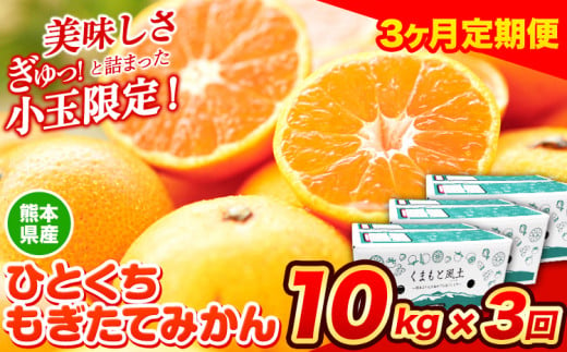 訳あり みかん ひとくちもぎたてみかん 約10kg (10kg×1箱) 3ヶ月定期便 S-3Sサイズ 訳あり S SS 3S ご家庭用 30kg 熊本県産 (荒尾市産含む) 小玉みかん 訳ありみかん ご家庭用みかん フルーツみかん 熊本みかん ちょっと訳あり 期間限定 フルーツ 秋 旬 柑橘 小玉 みかん 温州みかん[10月・11月・12月出荷]