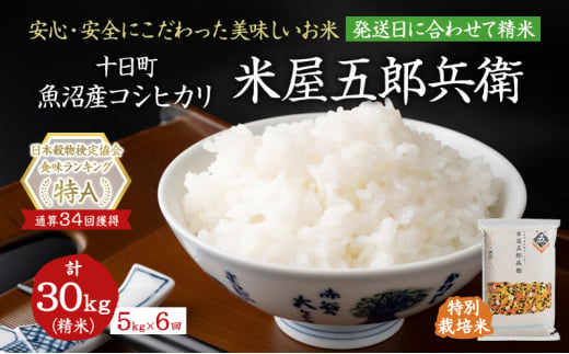 ＜新米発送＞【定期便/全6回】十日町産魚沼コシヒカリ 米屋五郎兵衛 特別栽培米 精米5kg