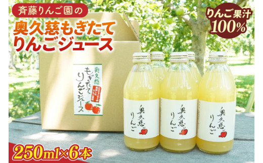 茨城県大子町の【限定】秋の味覚『樹上完熟の奥久慈りんご』受付開始！！｜ふるさとチョイス - ふるさと納税サイト