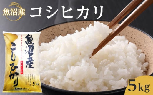 魚沼産コシヒカリ　5kg　2024年10月～発送開始｜新潟県　魚沼　こしひかり　令和6年産 892299 - 新潟県新潟県庁