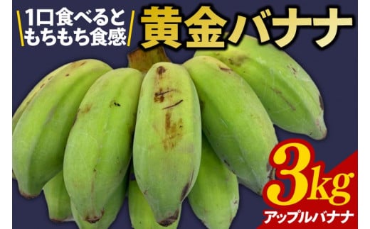 黄金バナナ（アップルバナナ）約3kg(CF001) 1420074 - 沖縄県豊見城市