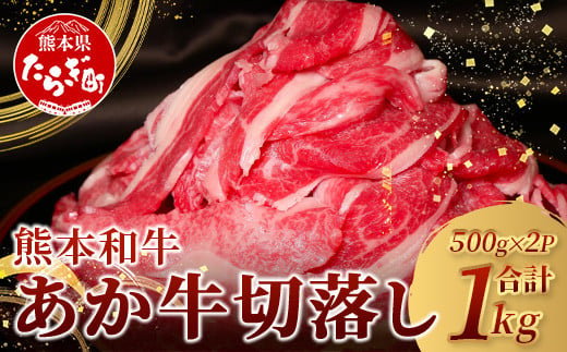 【 12月発送 】あか牛 バラ 切り落とし 1kg （500g×2）12月23日迄受付 【 熊本県産 あか牛 牛肉 バラ 大容量 肉 熊本産 国産牛 和牛 赤身 ヘルシー 多良木町 牛肉 】046-0637-12 1509329 - 熊本県多良木町