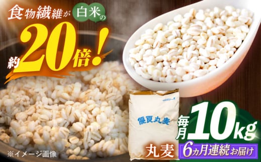 【全6回定期便】 長崎県産 丸麦 10kg / 麦 むぎ 雑穀 雑穀米 麦ごはん 麦飯 麦みそ 食物繊維 / 諫早市 / 有限会社伊東精麦 [AHBU007] 1418114 - 長崎県諫早市