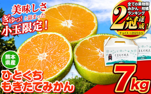 訳あり みかん ひとくちもぎたてみかん 約 7kg (3.5kg×2箱) S-3Sサイズ 訳あり S SS 3S ご家庭用 7kg 熊本県産 （荒尾市産含む） 小玉みかん 訳ありみかん ご家庭用みかん フルーツみかん 熊本みかん ちょっと訳あり 期間限定 フルーツ 秋 旬 柑橘 小玉 みかん 温州みかん《9月中旬-10月下旬頃出荷》 1418510 - 熊本県荒尾市