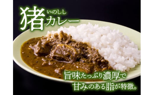 一度食べたら忘れられない！ジビエカレー専門店の味セット 1418128 - 熊本県阿蘇市