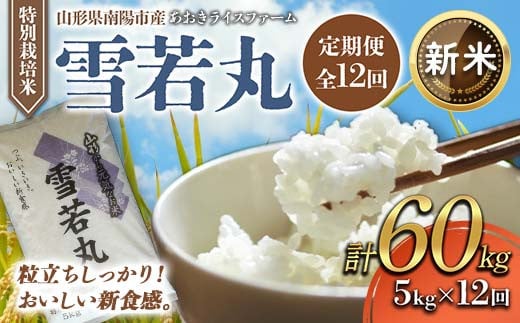 【令和6年産 新米 先行予約】 【金賞受賞農家】 《定期便12回》 特別栽培米 雪若丸 5kg×12か月 《令和6年10月上旬～発送》 『あおきライスファーム』 山形南陽産 米 白米 精米 ご飯 農家直送 山形県 南陽市 [1612-R6] 1425091 - 山形県南陽市