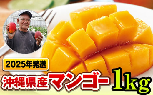 2025年発送】濃厚な甘さ！とろける食感！沖縄県産マンゴー1kg - 沖縄県南風原町｜ふるさとチョイス - ふるさと納税サイト