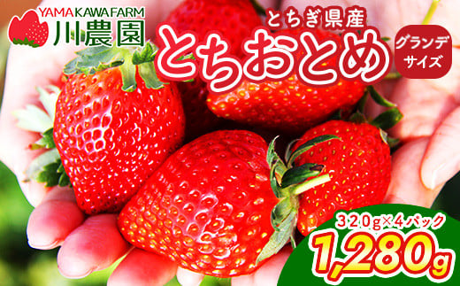 栃木県壬生町のふるさと納税 【訳あり】とちおとめ 320g×4パック 約1.2kg グランデサイズ　※2025年1月中旬頃より順次発送予定