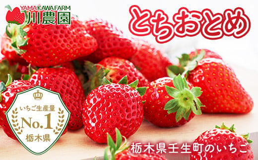 栃木県壬生町のふるさと納税 【訳あり】とちおとめ 320g×4パック 約1.2kg グランデサイズ　※2025年1月中旬頃より順次発送予定