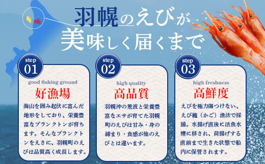 【おまとめ配送】超速リキッド凍結でドリップゼロ！北海道羽幌産生鮮甘えび2kg（200g×10パック）