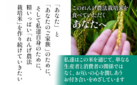 令和6年産 予約 れんげ米 れんげ農法栽培米「ヒノヒカリ」（精米・5kg） BI01 - 福岡県大木町｜ふるさとチョイス - ふるさと納税サイト