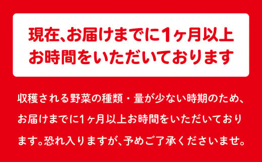 福島県大玉村のふるさと納税 訳あり 野菜 セット （5種類程度） もったいない野菜 食べ切り 不揃い ｜ SDGs 福島県 大玉村 セット 野菜詰め合わせ 詰め合わせ 詰合せ フードロス 規格外 傷 余剰野菜 新鮮 旬 ｜ 01105
