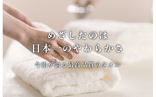 愛媛県今治市のふるさと納税 （今治タオルブランド認定）雲ごこちフェイスタオル ２枚セット　グレー　ふわふわ ふかふか 今治タオル  [IA05010FT2GY]