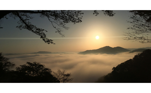 栃木県茂木町のふるさと納税 茂木名物　柏屋のバタどら　10個入【1284870】