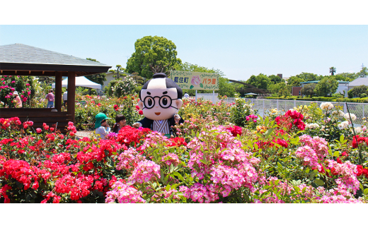 二藍のハーブティーセット【1083959】 - 徳島県藍住町｜ふるさとチョイス - ふるさと納税サイト