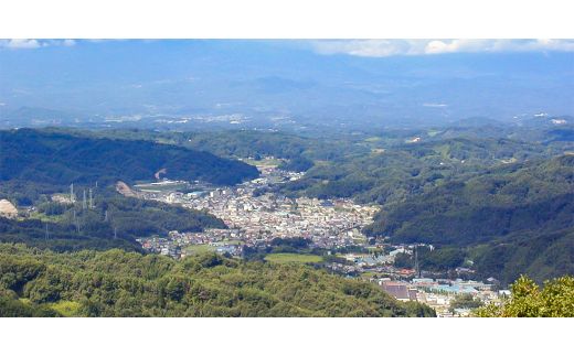 福島県川俣町のふるさと納税 川俣シャモ　炊込みご飯の素&カレーセット　炊込みご飯の素2種・地鶏カレー2P【1098677】