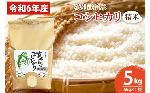 [先行予約][令和6年産][数量限定]新米 コシヒカリ精米5kg 特別栽培米