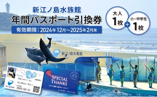 チケット 神奈川 【新江ノ島水族館】年間パスポート引換券(大人1枚+小・中学生1枚) 有効期間2024年12月～2025年2月末まで 水族館 パスポート 入場券 江ノ島 藤沢市 神奈川県 プレゼント ギフト 1420683 - 神奈川県藤沢市