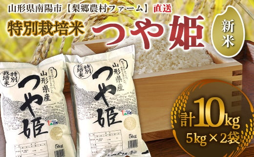 【令和6年産 新米 先行予約】 【農薬使用量8割減】 特別栽培米 つや姫 10kg (5kg×2袋) 《令和6年10月上旬～発送》 『梨郷農村ファーム』 山形南陽産 米 精米 ご飯 農家直送 山形県 南陽市 [834-RR6]