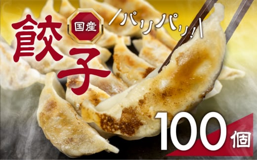 国産素材を使用した、パリっとおいしい冷凍餃子！たっぷり100個！ 1419111 - 愛知県豊橋市