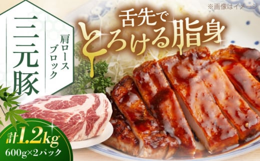 三元豚 肩ロースブロック1.2kg（600g×2パック）《喜茂別町》【平田牧場】 肉 豚肉 ロース ブロック ローストポーク 煮豚 酢豚 煮物 冷凍配送 [AJAP075] 18000 18000円 1418853 - 北海道喜茂別町