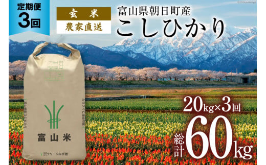 【3ヶ月定期便】玄米 20kg コシヒカリ 計60kg [有限会社 クリーンみず穂 富山県 朝日町 34310359] お米 コシヒカリ コメ ご飯 ごはん 白米 農家 直送 一等米 1419739 - 富山県朝日町