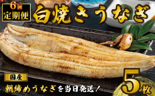 国産うなぎ 白焼き 5枚 1尾約120g 定期便6回 うなぎ 鰻 白焼き 蒲焼 うな重 鰻丼 うな丼 ひつまぶし 土用の丑の日 土用丑 魚 海鮮 魚介類 肉 肝 レバー 冷蔵 おつまみ おかず 惣菜 酒 ビール 焼酎 日本酒 ウイスキー チューハイ お取り寄せ ギフト プレゼント 贈答 贈答用 贈り物 内祝い お中元 お歳暮 母の日 父の日 敬老の日 千葉県 銚子市 有限会社石毛川魚店 1550119 - 千葉県銚子市